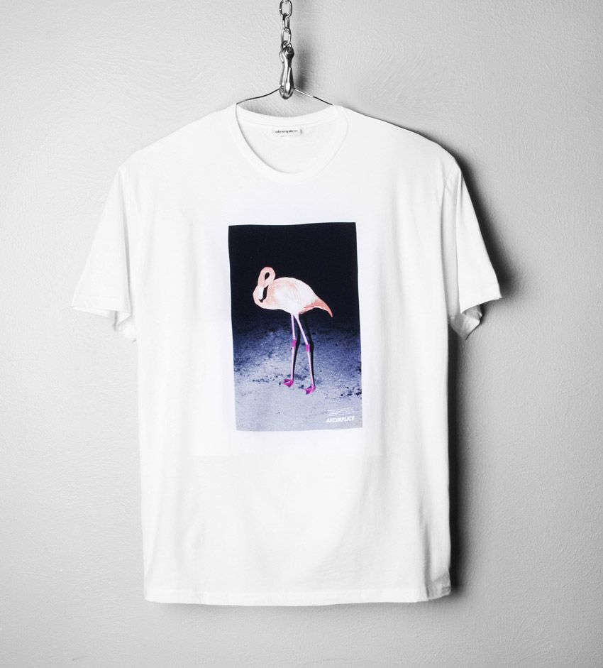 FlamingoLoveWt